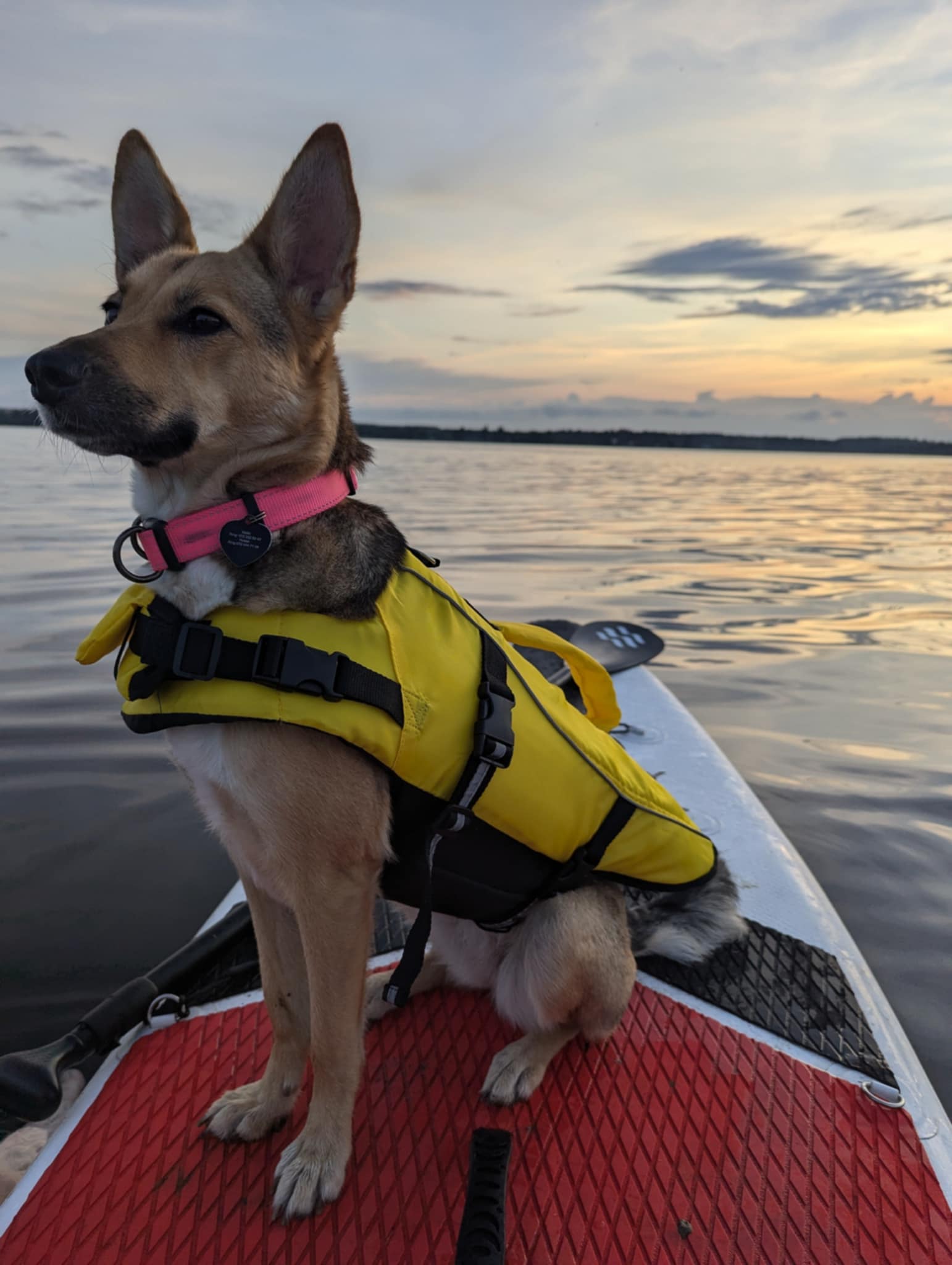 Ut på tur aldrig sur