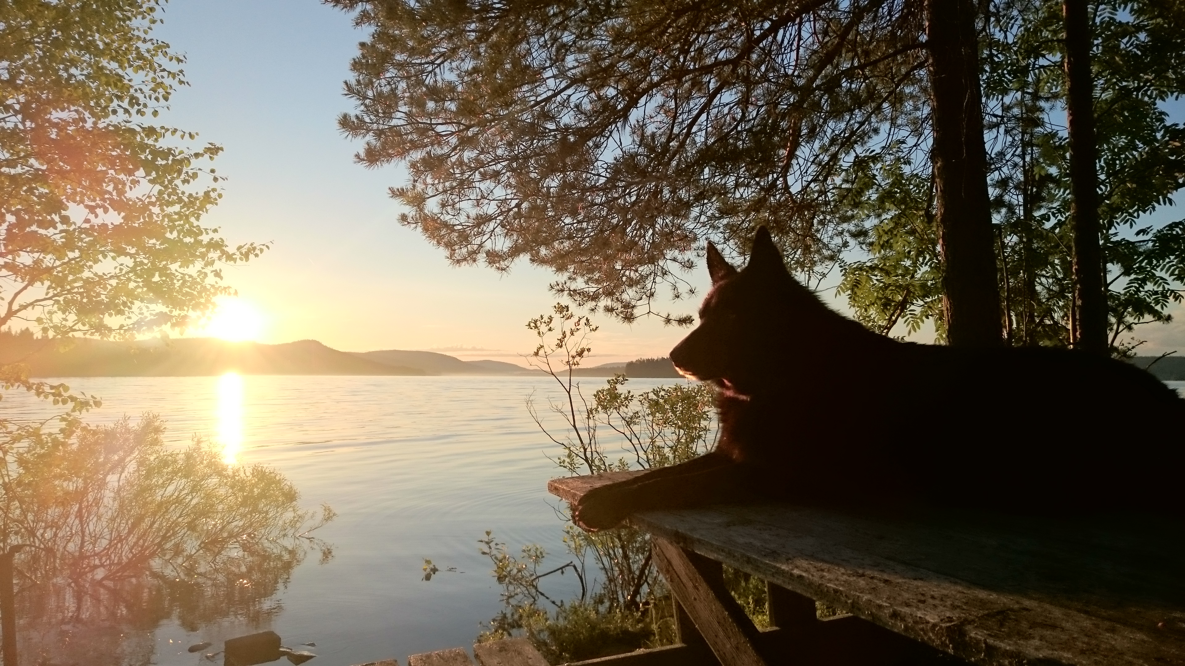 Sierkki och midnattssolen