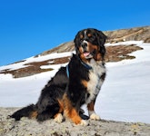 Äventyr i fjällen