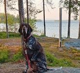 Albertina vorsteh min bästa vän
